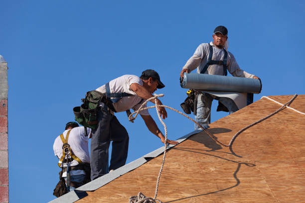 Best Residential Roofing Contractor  in Brown Deer, WI