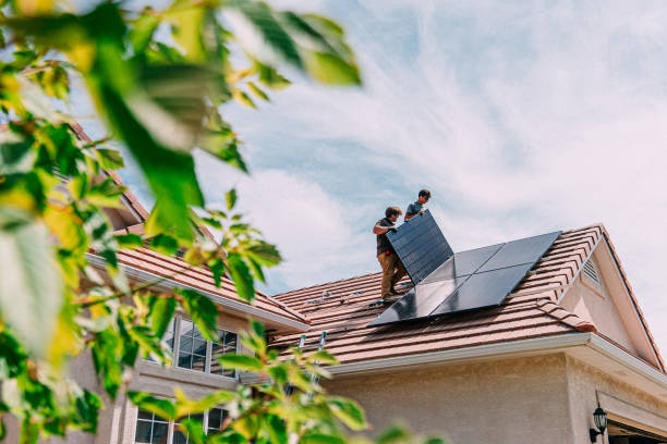 Best Roof Gutter Cleaning  in Brown Deer, WI